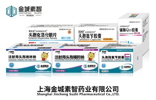 副省長(zhǎng)王桂英赴金城醫(yī)藥調(diào)研 聚焦合成生物學(xué)與食品藥品安全，助力新興產(chǎn)業(yè)筑基